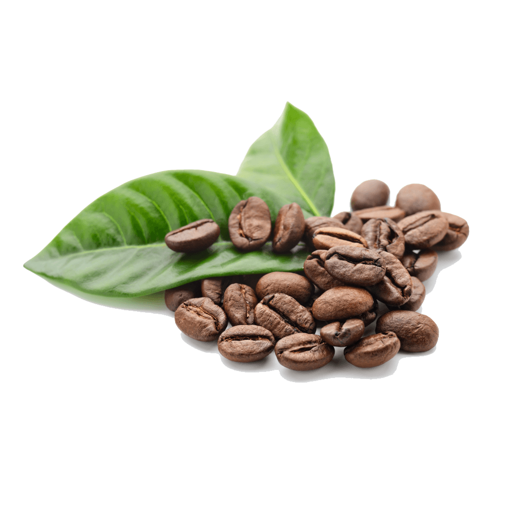 coffee beans